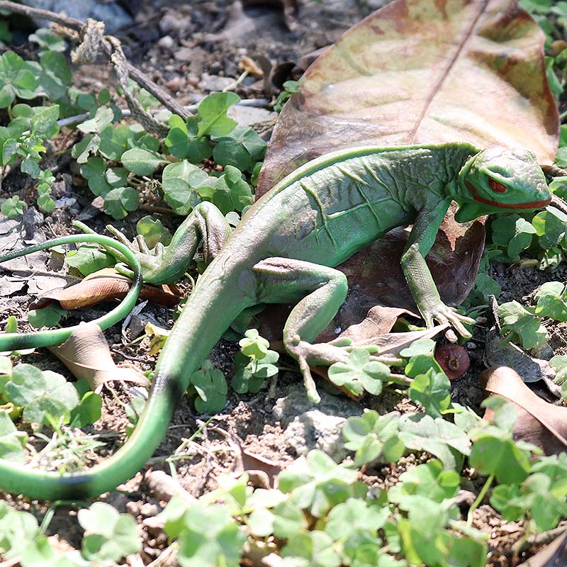 Oenux Çiftlik Vahşi Modeli Sim - Model Kit Lizard incelemesi ve fiyatı