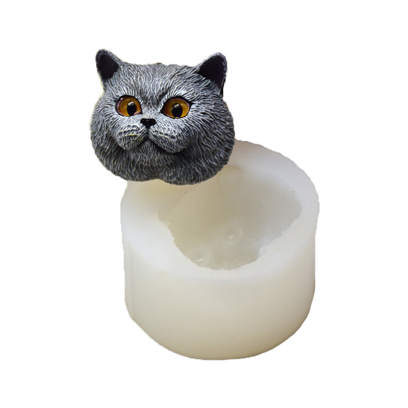 Silikon Kalıp Kısa saçlı Kedi  - Model Kit For Beginners incelemesi ve fiyatı