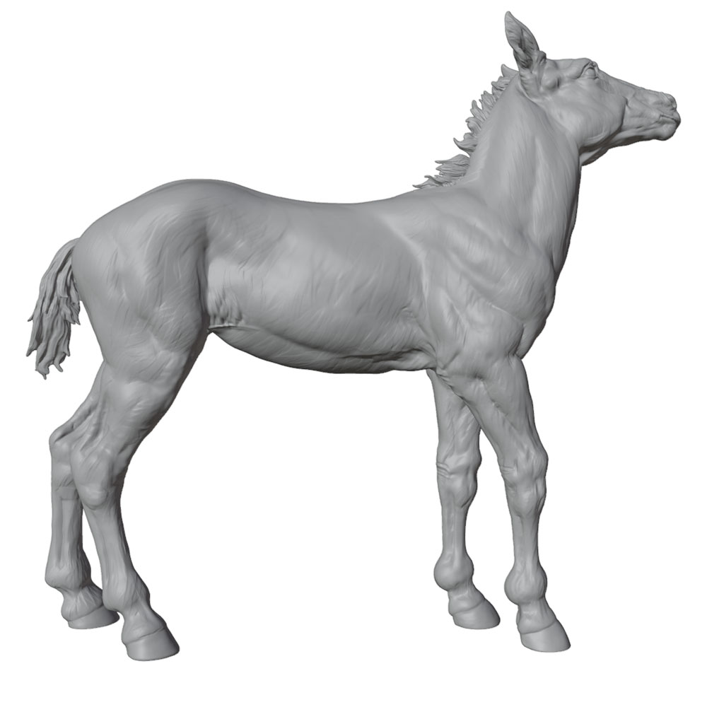 Yüksek Detaylı Baskı, Gerçekçi - Model Kit Horse incelemesi ve fiyatı