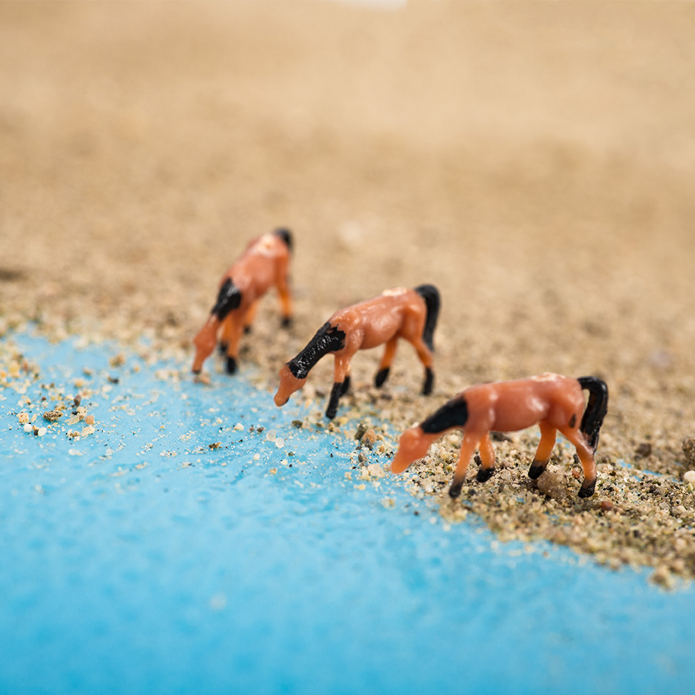 Ölçekli 1:150 Minyatür At Mode - Model Kit Horse incelemesi ve fiyatı